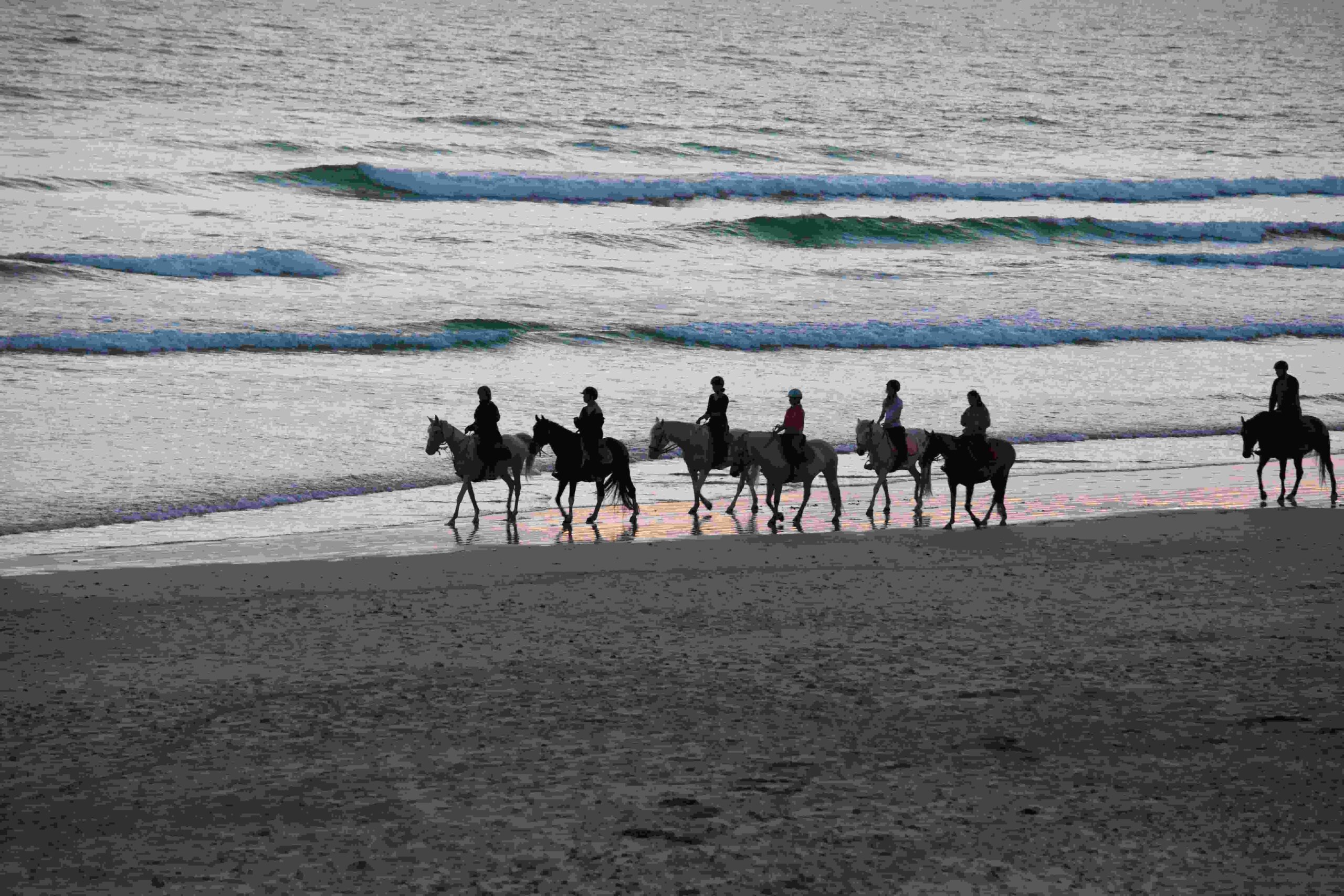 Paseo a caballo por las playas